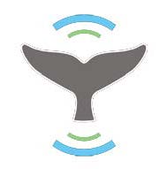Whale Alerts Icon
