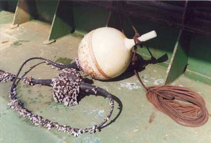 A recovered SVP-B buoy