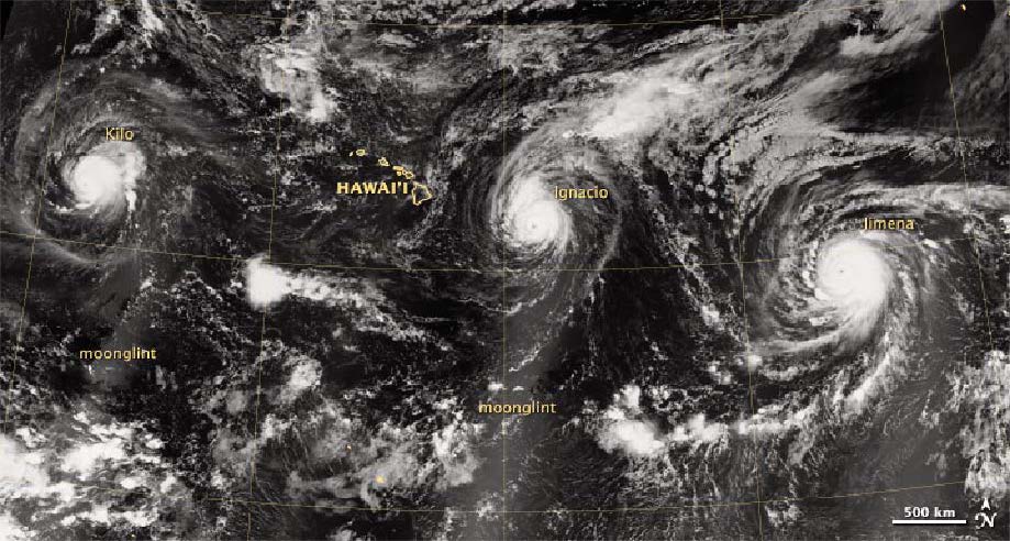 Hurricanes Hurricanes