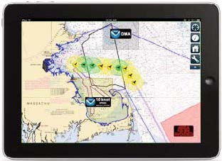 Whale Alert App Whale Alert App