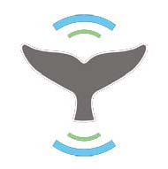 Whale Alerts Icon Whale Alerts Icon