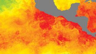 Combined Microwave and Infrared 25 km resolution SST image