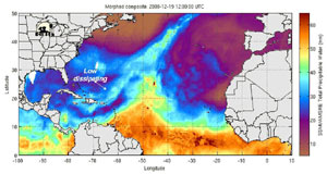 CIMSS Morphed Integrated Microwave Imagery - total precipitable water from 1200UTC 19 Dec