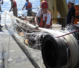 Damage of a TAO buoy due to ship collision