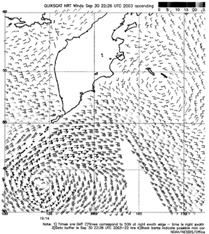 Figure 2 - QuikSCAT scatterometer 
image - click to enlarge