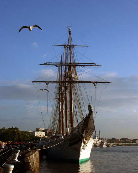 Spanish Navy Training Ship, Juan Sebastian de Elcano