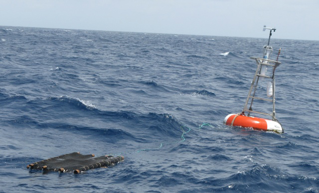 An FAD tied to a TAO buoy