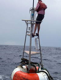 Figure 9  A TAO buoy was used as a FAD (possibly a “sling shot” method).