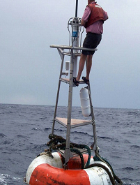 Figure 9 A TAO buoy was used as a FAD (possibly a “sling shot” method).