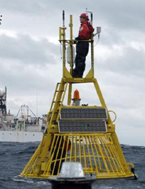 Damage of a TAO buoy due to ship collision